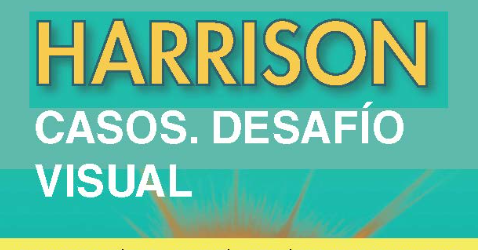 Harrison Casos. Desafío visual